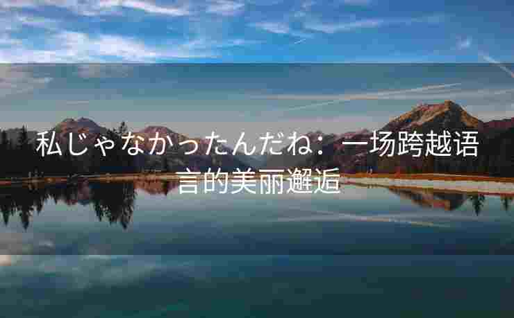 私じゃなかったんだね：一场跨越语言的美丽邂逅