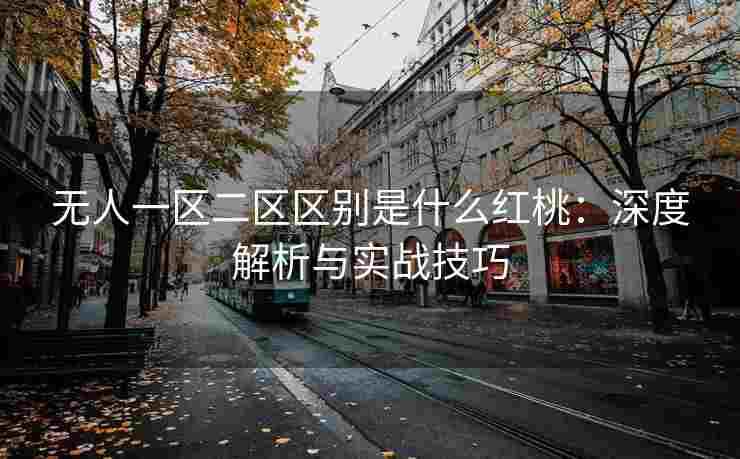 无人一区二区区别是什么红桃：深度解析与实战技巧