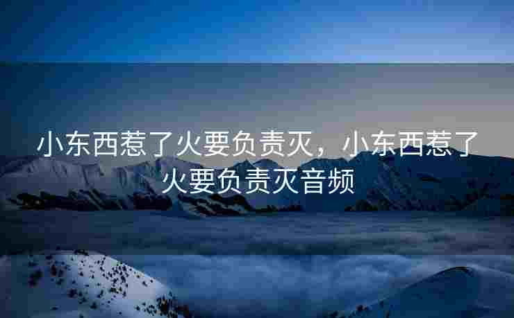 小东西惹了火要负责灭，小东西惹了火要负责灭音频