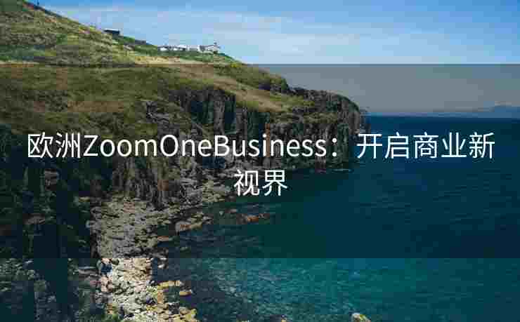 欧洲ZoomOneBusiness:开启商业新视界 欧洲ZoomOneBusiness:开启商业新视界